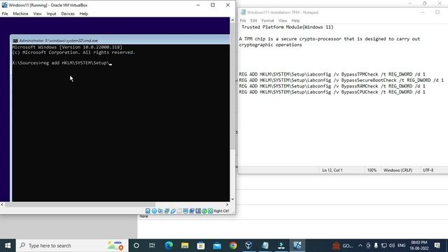 How to Install Windows 11 on VirtualBox | How to Bypass TPM 2.0 and Secure Boot on VirtualBox смотреть онлайн