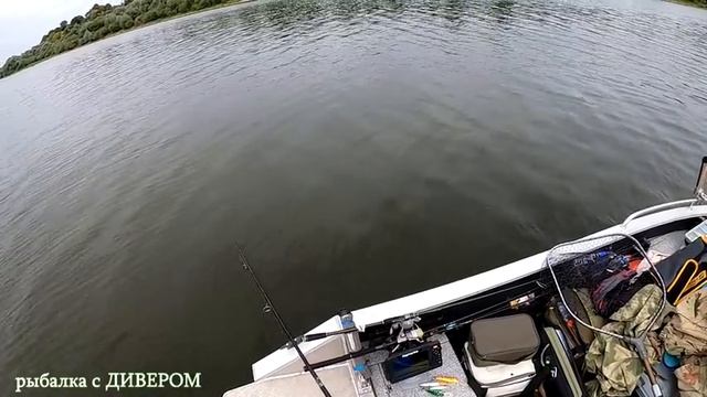 Тут есть рыба! река ОКА - Серпухов. Трофейная щука и шикарные ОКУНЯхи. Спиннинги SPORTEX серии Nova смотреть онлайн