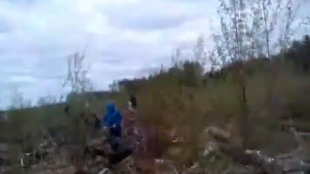 Массовая посадка сосен смотреть онлайн