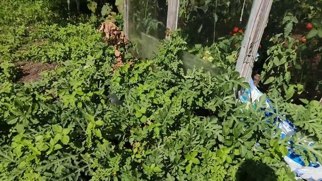 12s. Дача, утепление дома пенопластом, домик для гостей, армируем стены. Утки, броилера, огород. смотреть онлайн