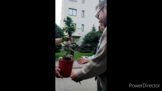Польша. Встреча с моими родственниками в Варшаве ❤️ не виделись 3 года. 1 часть. смотреть онлайн
