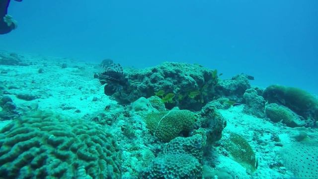Maldives Gaaf-Laamu-Thaa-Meemu-Felidhoo-SouthMale Atoll смотреть онлайн