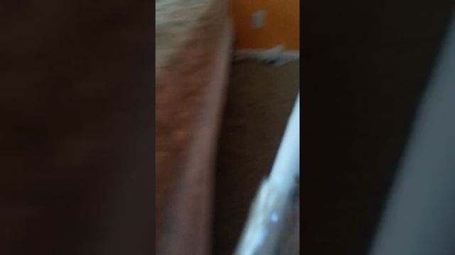 This homemade weapon can help you escape from something... смотреть онлайн