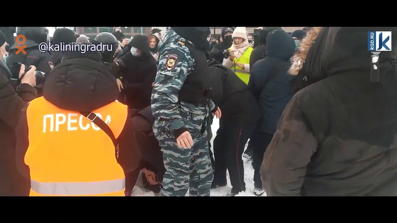 Митинг в поддержку навального г Калининград 31 января 2021 г смотреть онлайн