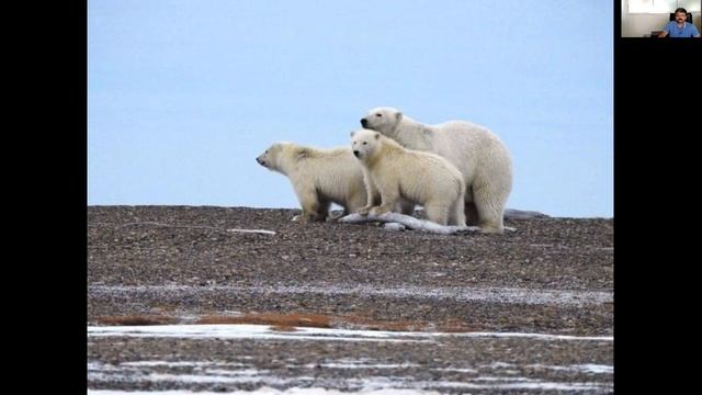 Barrow ( Utqiagvik ) northernmost city in Alaska, USA смотреть онлайн