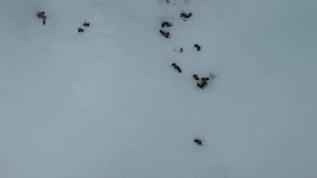 Разбор погибшей семьи №30. Преимущество сетчатого дна, над глухим. смотреть онлайн