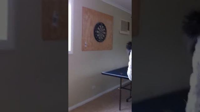 A Crazy Ping Pong Game смотреть онлайн