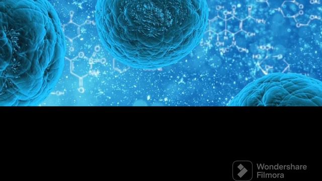 Наука открыла ген старения ! #днк #старение #гены #хромосома #клетки #наука #лайк #люди #вечно #жит смотреть онлайн