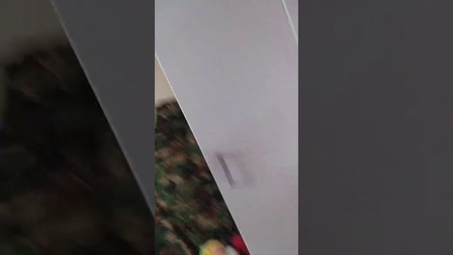 пожалуйста заметь меня для тебя маленькая просьба мне нужно больше подписчиков в телеграмме. смотреть онлайн