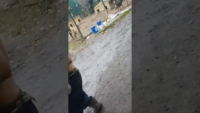 18 октября 2019 г. смотреть онлайн