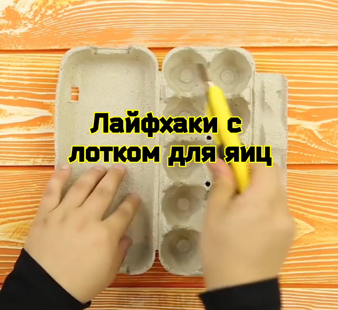 Лайфхаки с лотком для яиц смотреть онлайн
