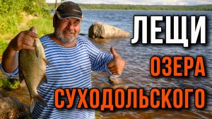 Лещи озера Суходольского.