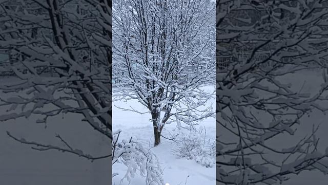 31 декабря 2023 года-последний день уходящего года.С наступающим Новым 2024 годом, друзья!.. смотреть онлайн