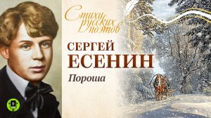 СЕРГЕЙ ЕСЕНИН «ПОРОША». Аудиокнига. Читает Александр Котов