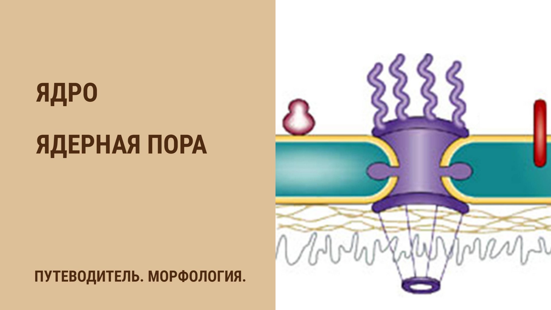 Ядро. Ядерная пора смотреть онлайн