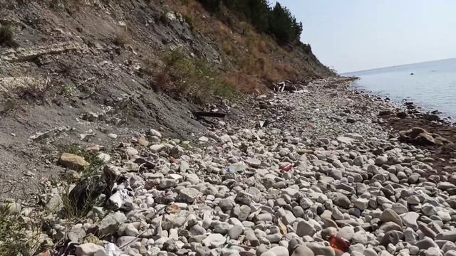Путешествие по берегу Бетта смотреть онлайн