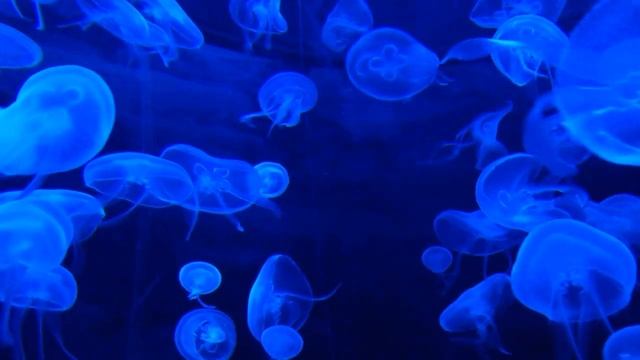 Pleasant melody for sleep and meditation / приятная мелодия для сна и медитации смотреть онлайн