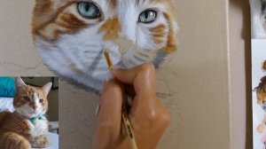 ПОРТРЕТ КОТА АКРИЛОМ