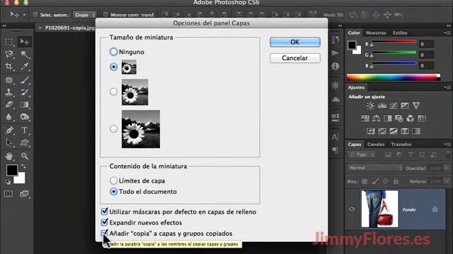 Consejos y ajustes de preferencias 2-11 Tutoriales Photoshop Online GRATIS смотреть онлайн