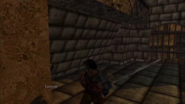 Severance Blade of Darkness Barbarian Gameplay Level 9 Oasis of Nejeb смотреть онлайн