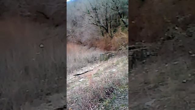 Министерские озёра. Верхнее озеро смотреть онлайн