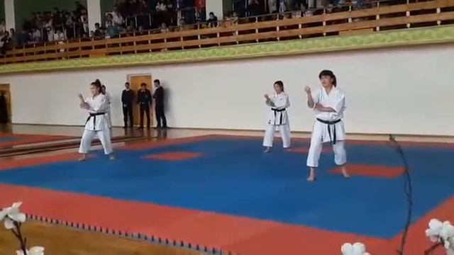 каратэ шинко кушинкай смотреть онлайн