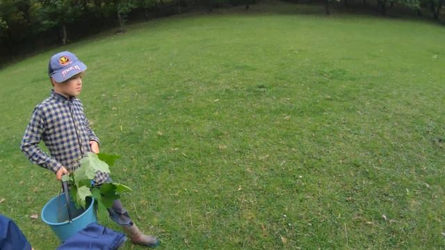 Поход за грибами смотреть онлайн