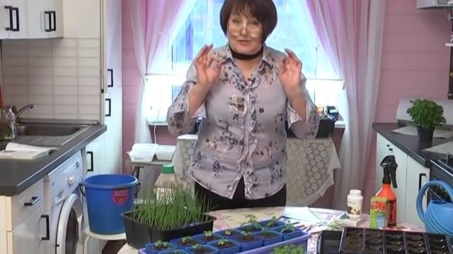 Дачные советы c Галиной Старосельцевой Март 26-2020 смотреть онлайн