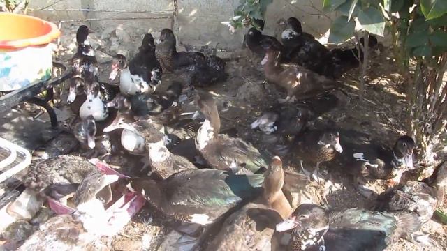 Стресс//Илья переволновался//хлопоты-заботы и мамины переживания смотреть онлайн