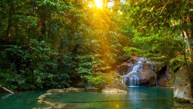 Как перевоспитать окружающих вас людей? смотреть онлайн