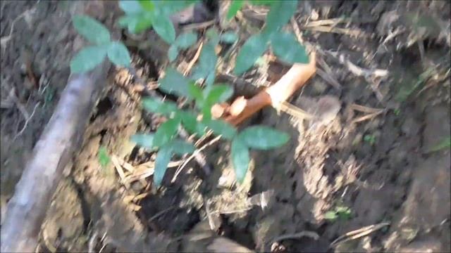 Жилу найти можно смотреть онлайн