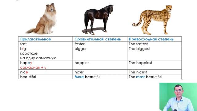 Степени сравнения прилагательных смотреть онлайн