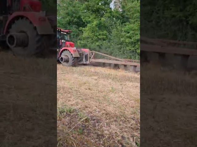 Плуг ПЛН с чизельнымии стойками от ИП Сергиенко. Работает чётко! #ипсергиенко #трактор #чизель смотреть онлайн