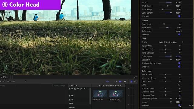 Get The Best Tools For Color Grading & Film Emulation | Dehancer Pro Perfect Guide