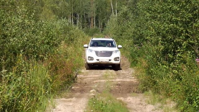 Старая гать на неправильной дороге из Тотьмы в Судай смотреть онлайн