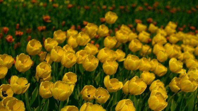 Музыка для Утреннего Пробуждения и Поднятия Настроения: Хорошая Музыка для Души и Бодрости Духа