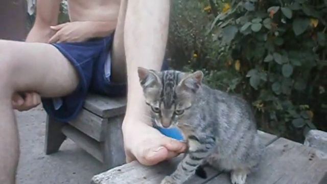 Лизун смотреть онлайн