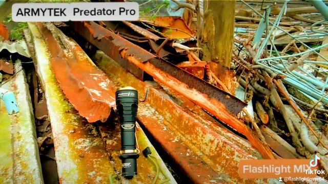 ARMYTEK PREDATOR Pro..(6 years) смотреть онлайн