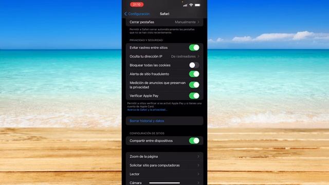 Cómo Activar Cookies en iPhone смотреть онлайн