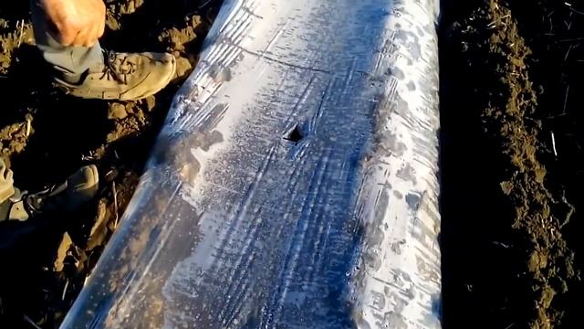 прорезка арбуза под плёнкой смотреть онлайн