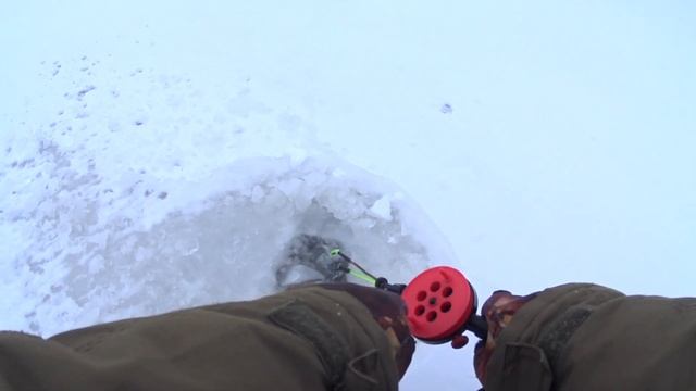 ПЕШКОМ 8 КМ НЕ ПРЕДЕЛ ДЛЯ РЫБАКА . БИРЮСИНСКИЙ ЗАЛИВ. смотреть онлайн