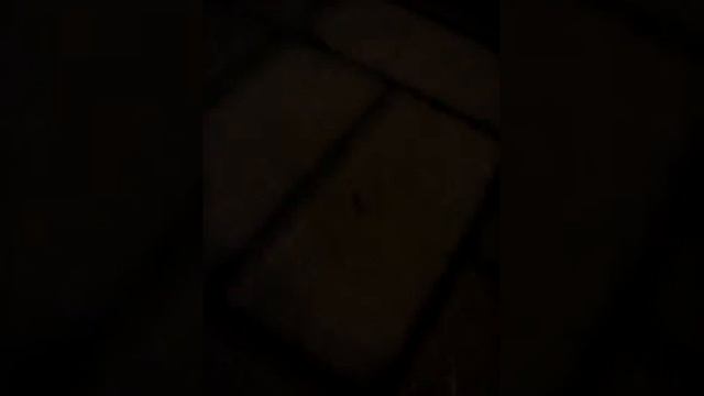 Знакомимся с Димоном смотреть онлайн