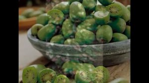 Актинидия – посадка и уход, выращивание