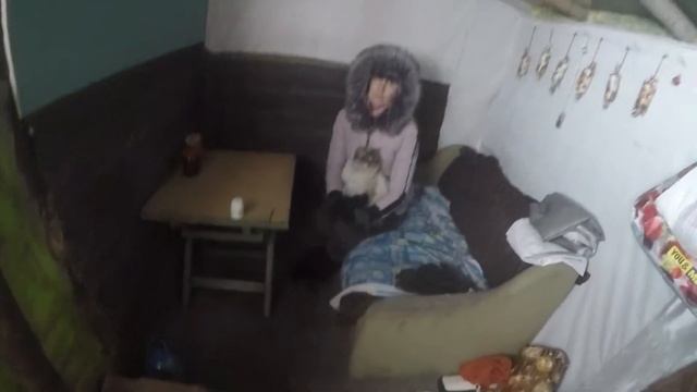 Козы в морозы -22 градуса//Как содержать коз зимой?//Адаптация коз к морозам смотреть онлайн