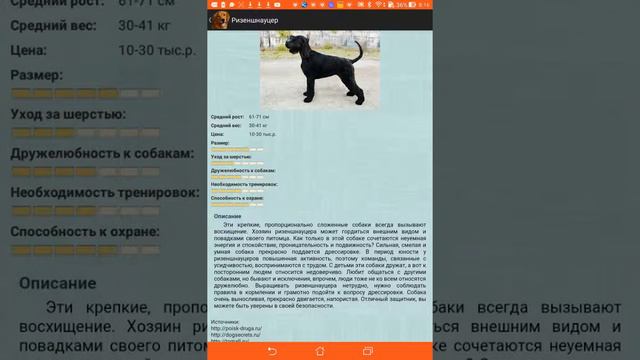 Породы собак.1 смотреть онлайн