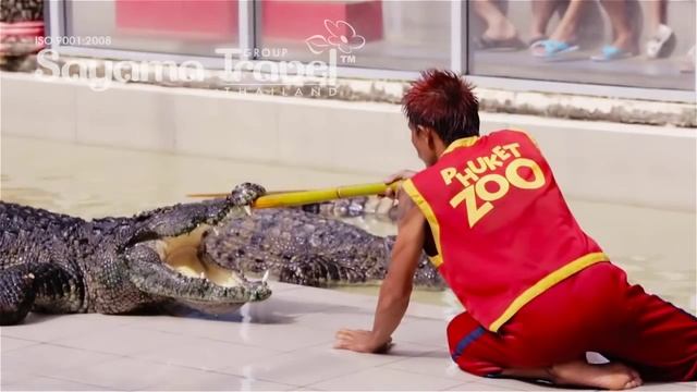 Экскурсии Пхукета. Зоопарк смотреть онлайн