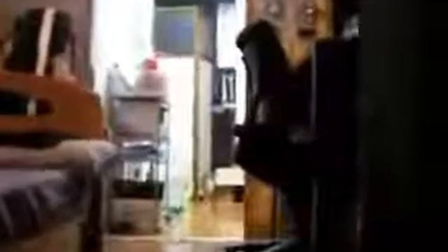 кот нео!!паронормальное смотреть онлайн