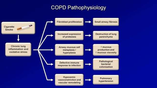 Asthma and COPD - Pathogenesis and Pathophysiology смотреть онлайн