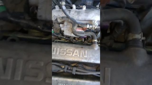 машина не заводится зимой Нисан Авенир залиты свечи. смотреть онлайн