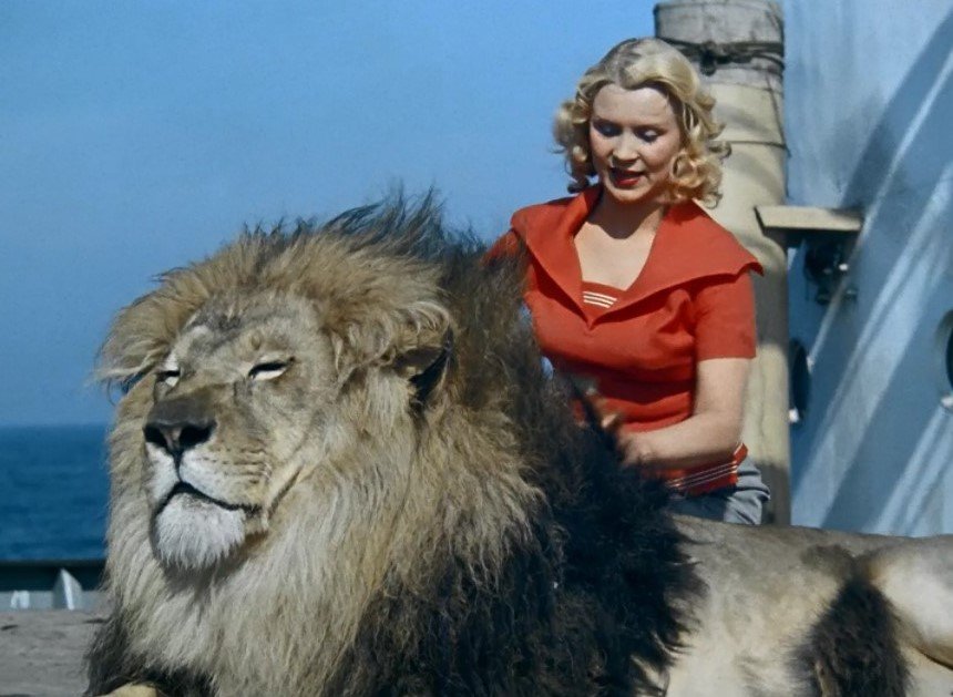 «Полосатый рейс»: интересные факты о создании легендарного фильма✨ смотреть онлайн